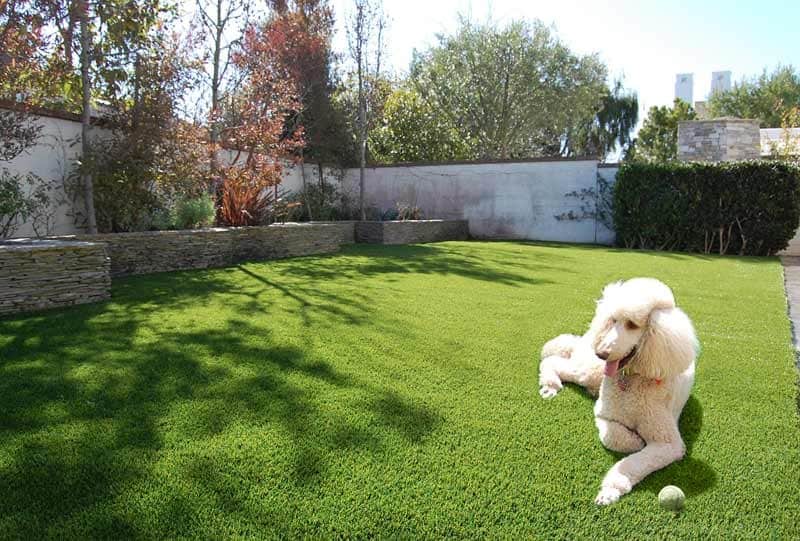 Artificial Turf – Lisena Garden Center