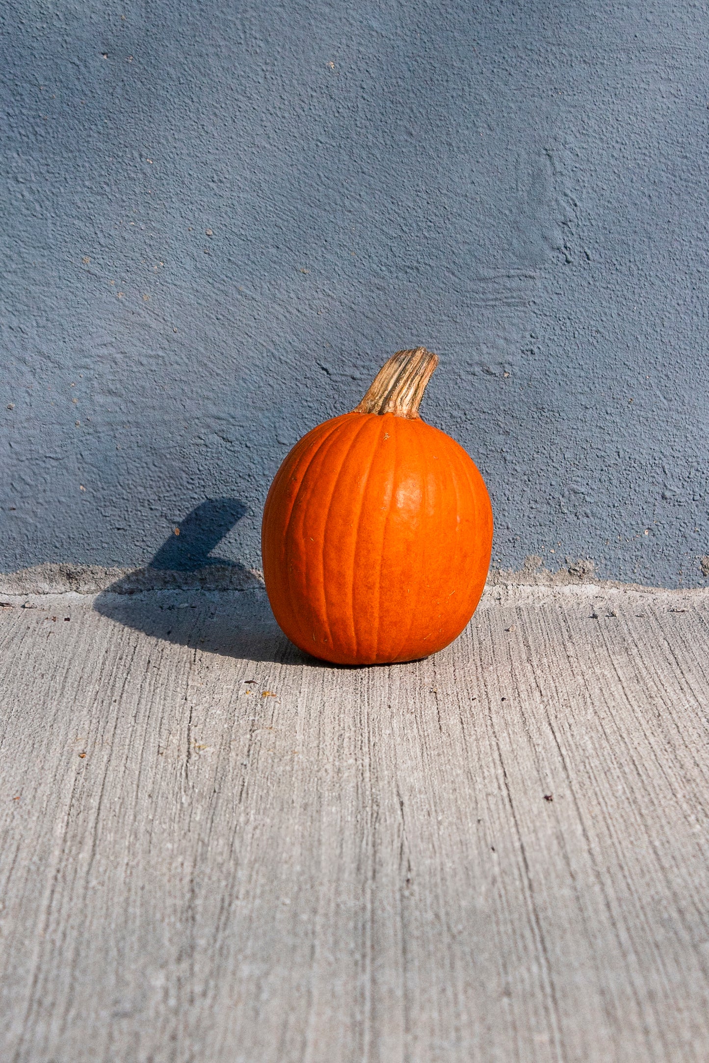 Pumpkins