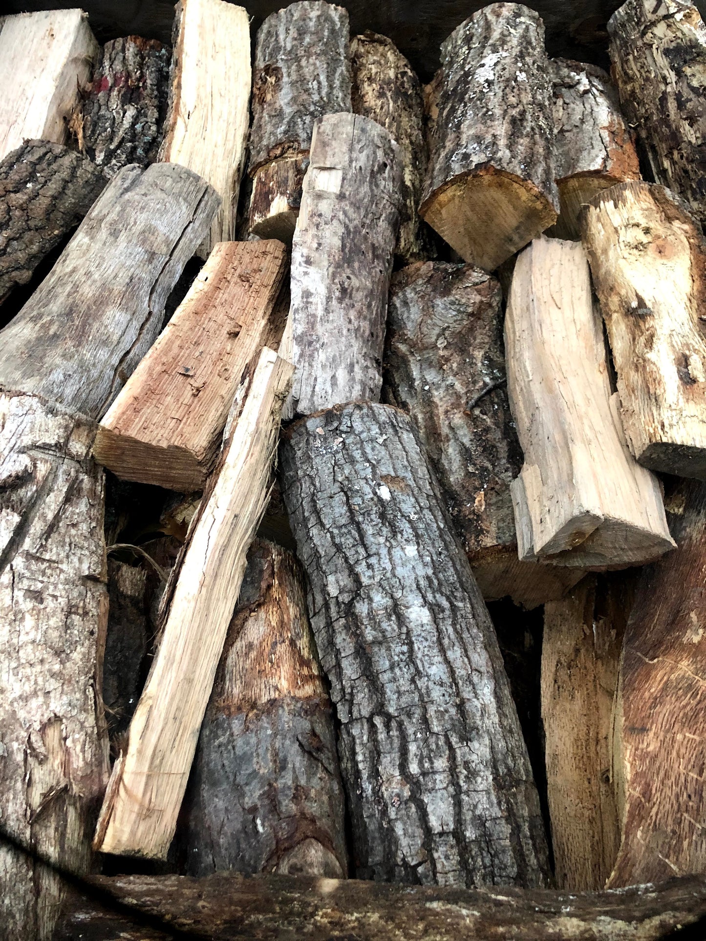 Firewood