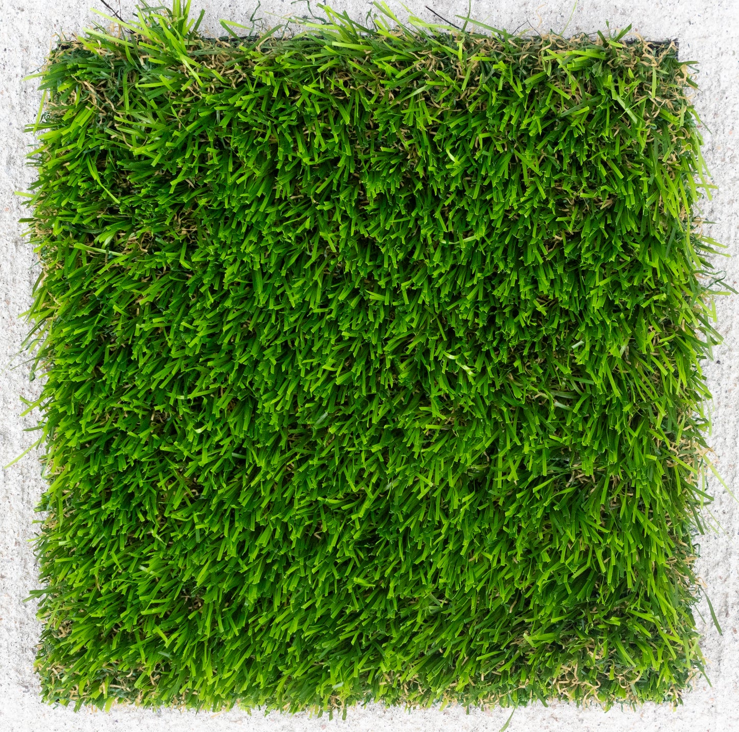 Montana Turf