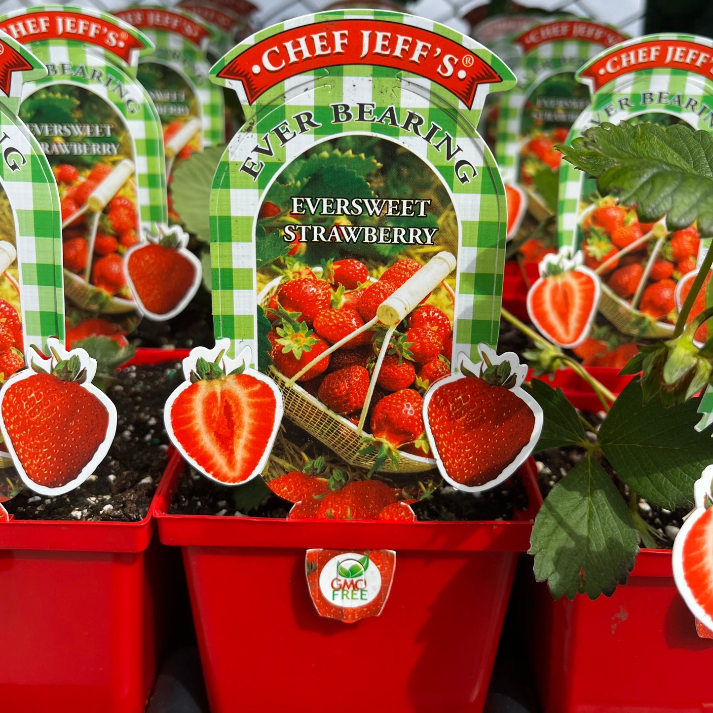 Strawberry