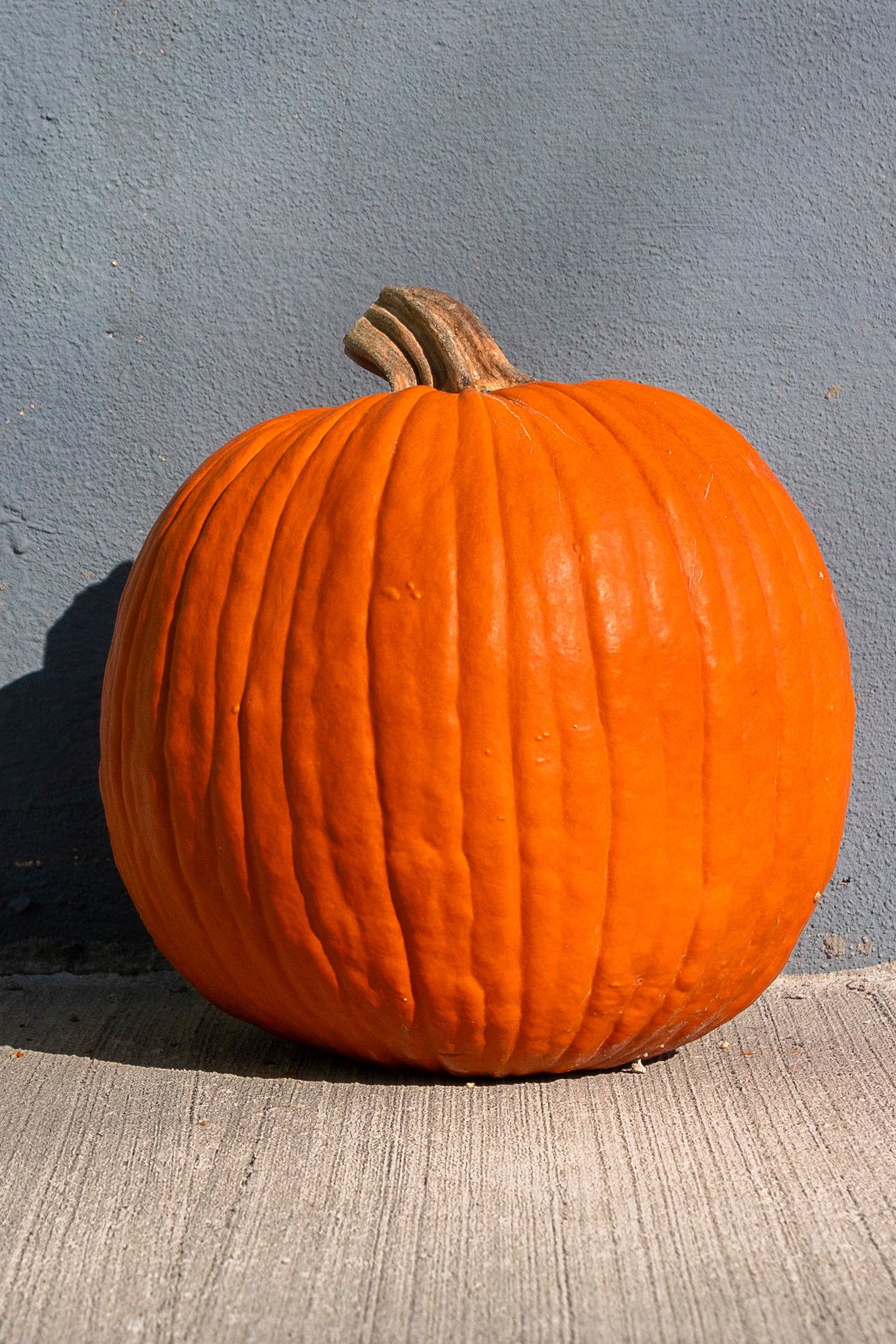 Pumpkins
