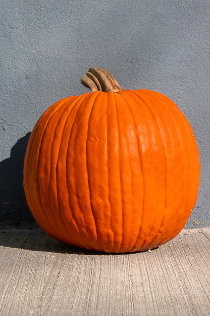 Pumpkins