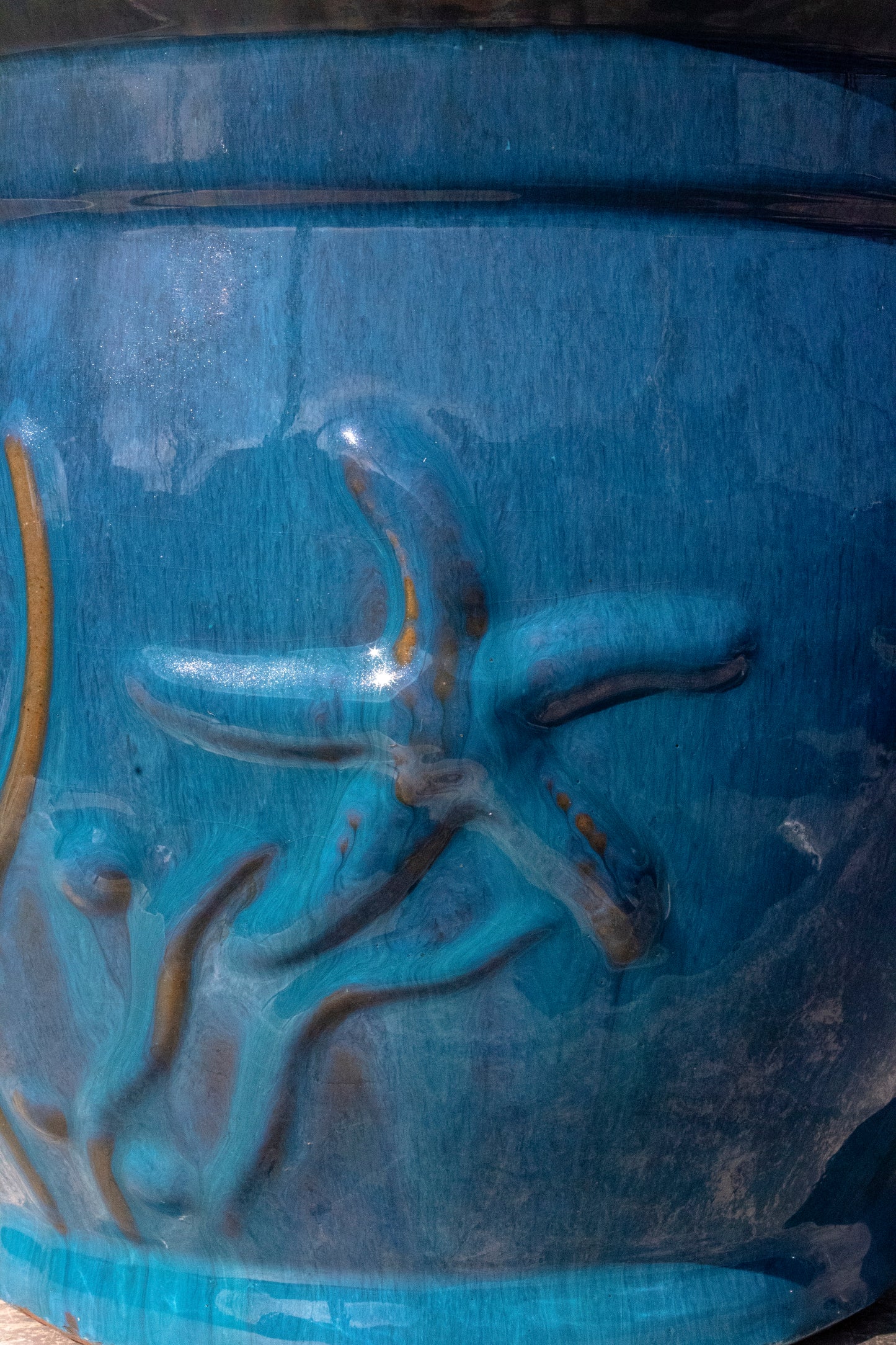 Starfish Aqua