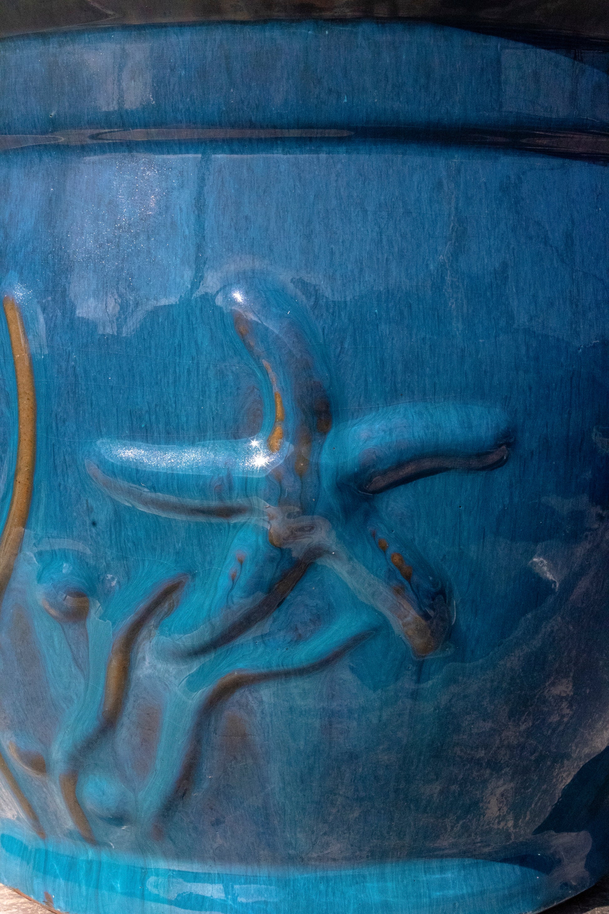 Starfish Aqua