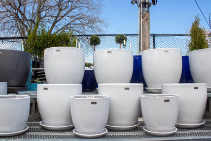 Classic Smooth Pots - Michael Carr