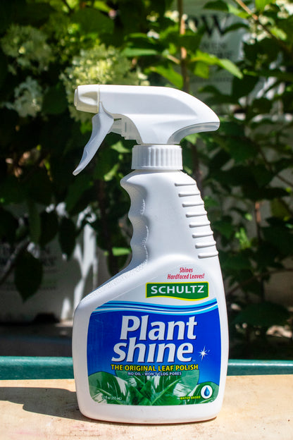 Schultz Liquid Plant Shine