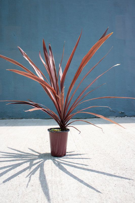 Red Spike