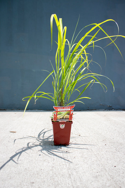 Lemongrass