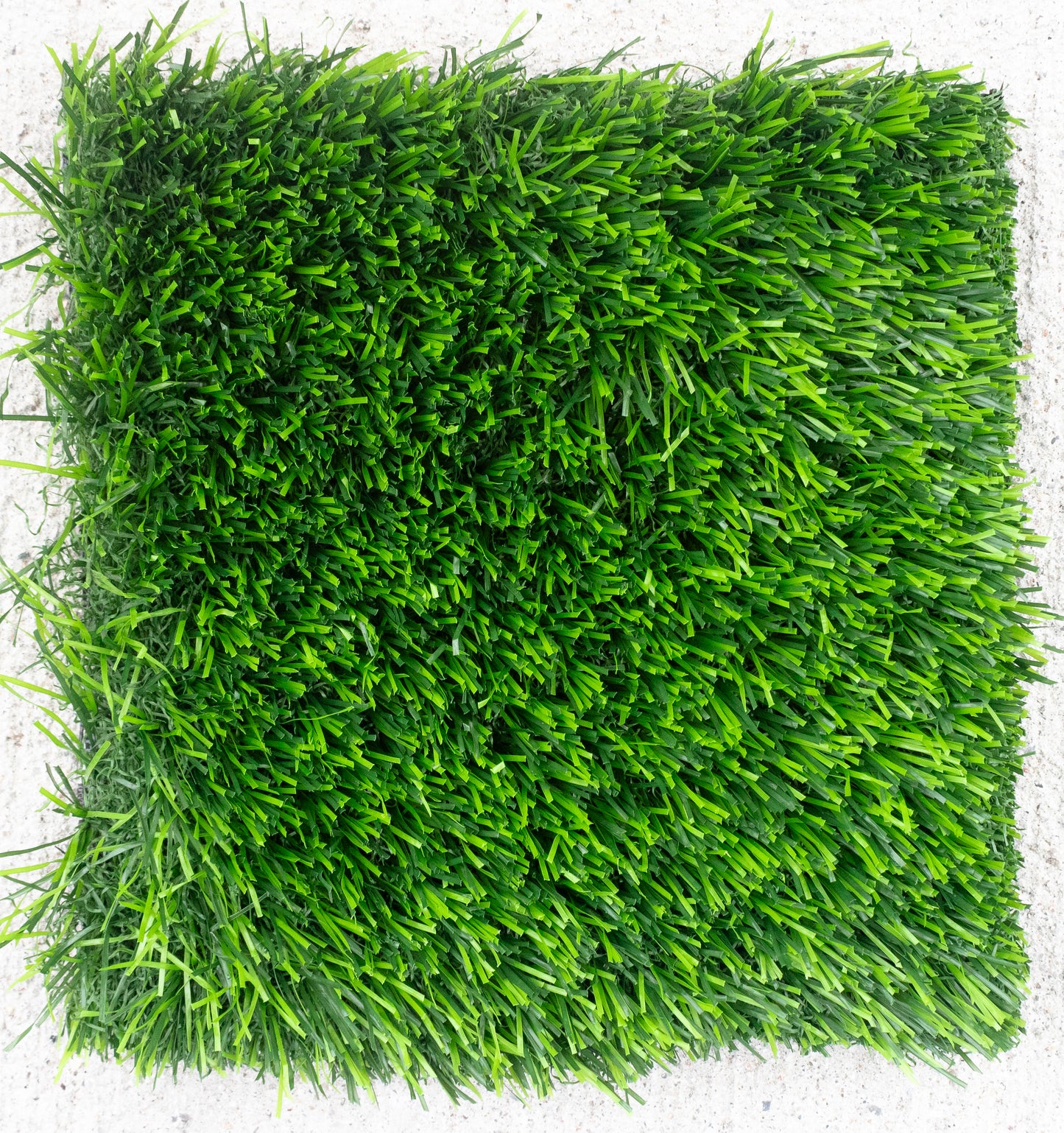 Kentucky Turf