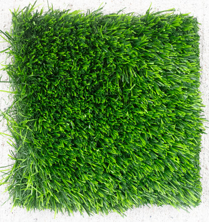 Kentucky Turf