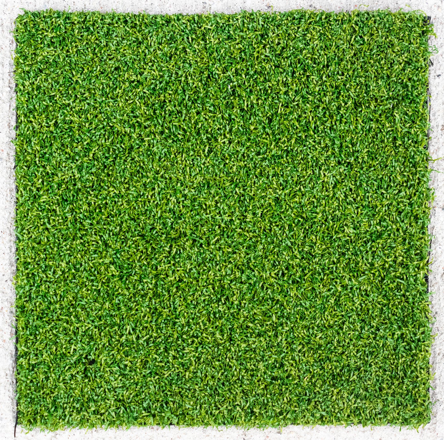 Augusta Turf
