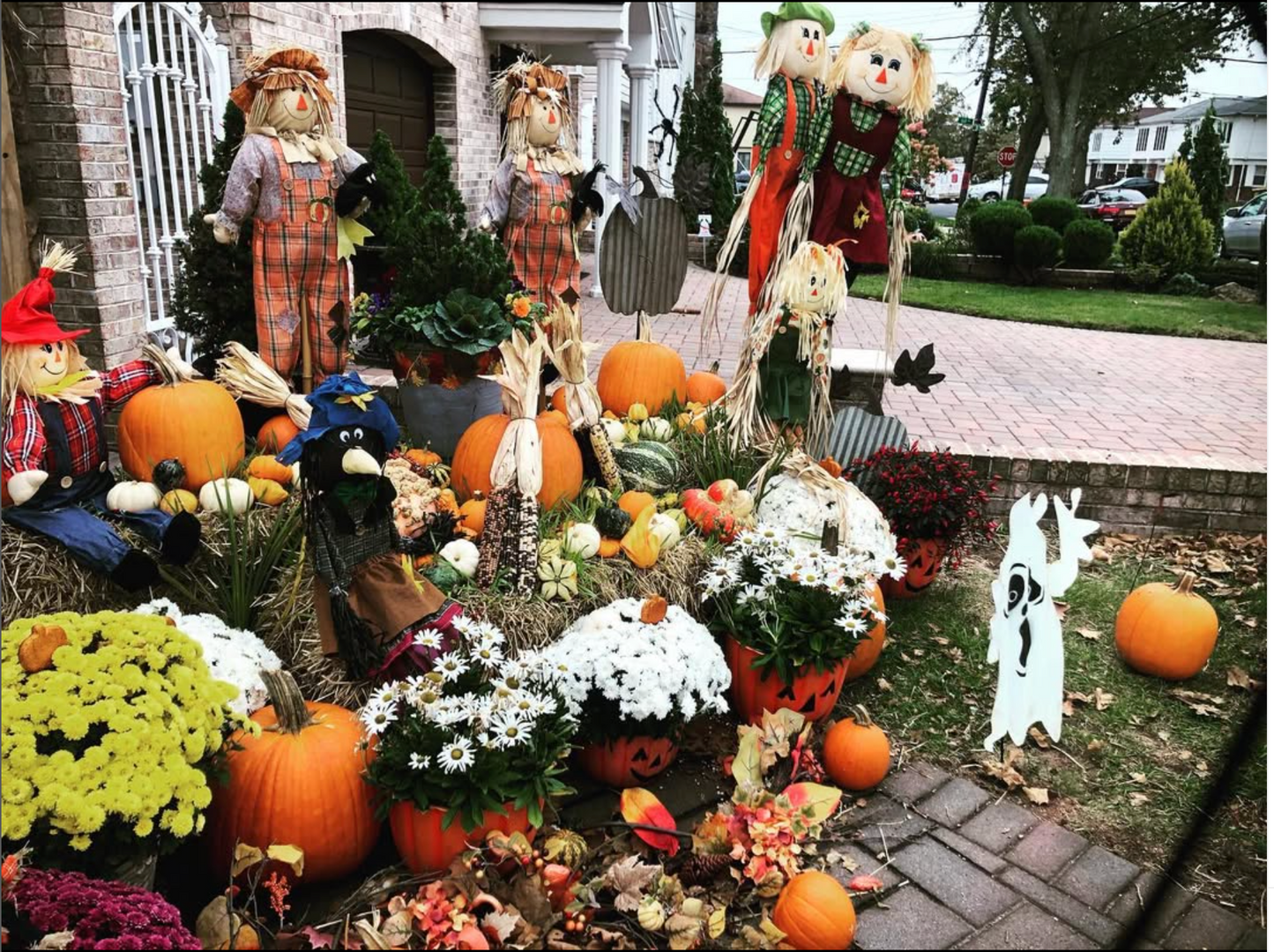 Gourds