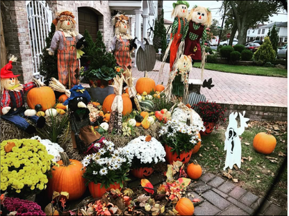 Gourds