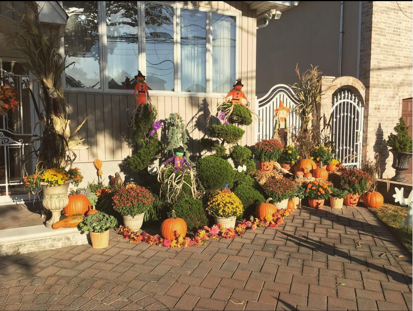 Gourds